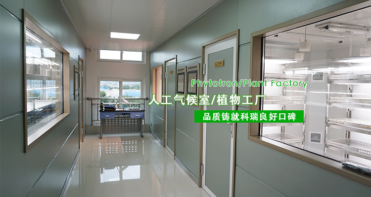 1-http://www.cellpremium.com.cn/uploads/190724/1-1ZH416093M17.jpg